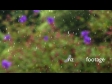 Rainy Day2 412